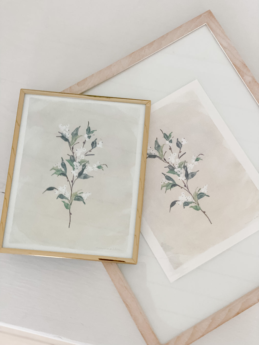 Emma Allen Art Print: Snowberries No. 1
